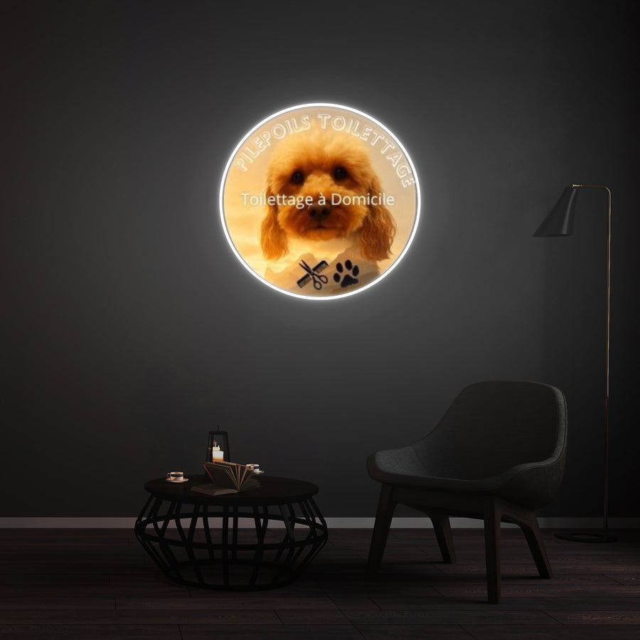Personnalisation Enseigne LED Néon - PILEPOILS TOILETTAGE