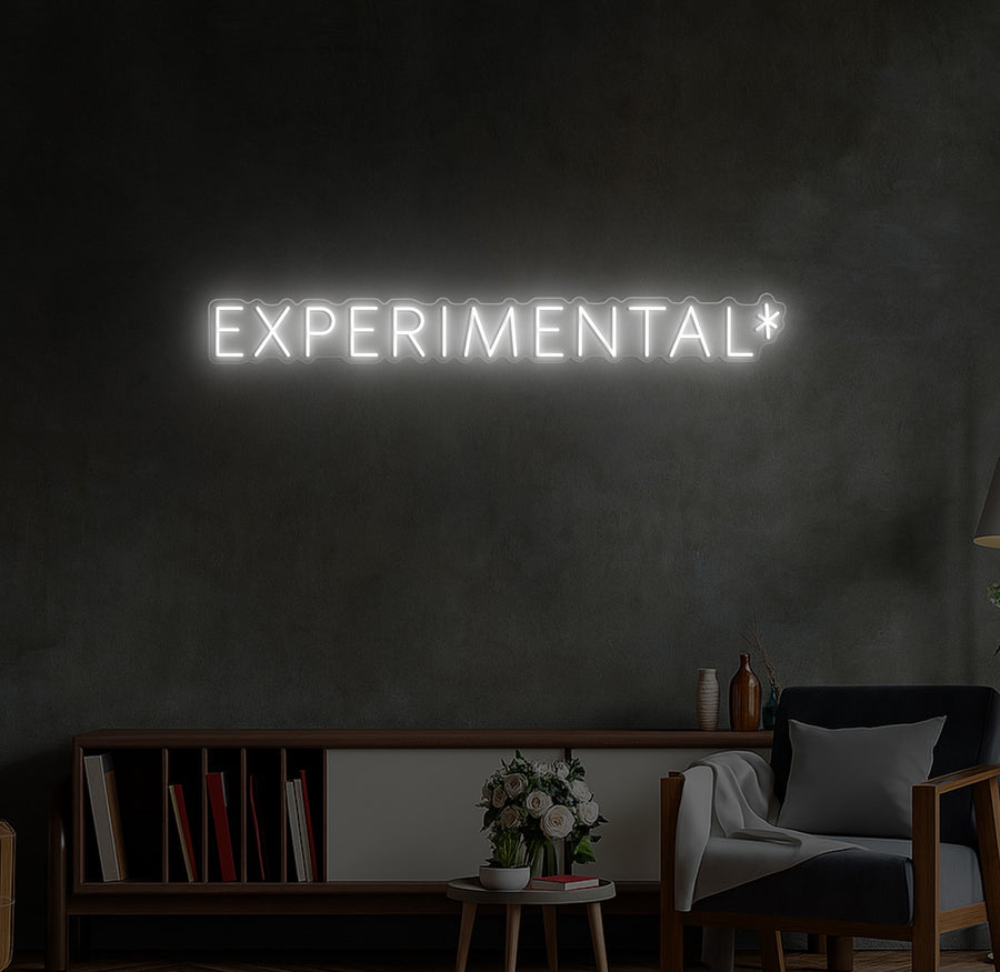 Experimental Custom LED Neon Sign
