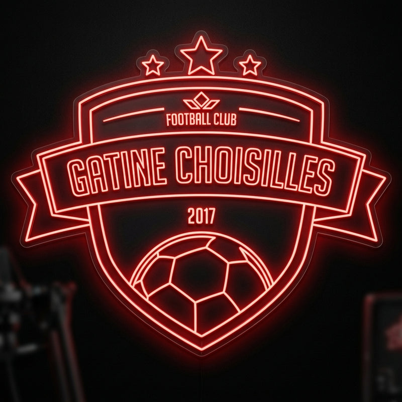 Fc gâtine choisilles