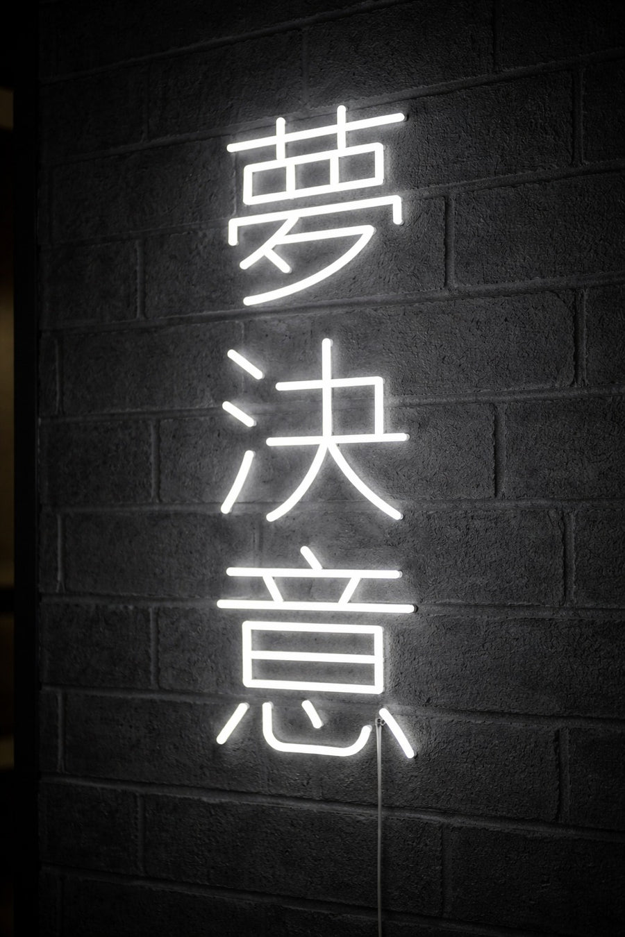 Custom LED Neon Sign with Japanese Letters