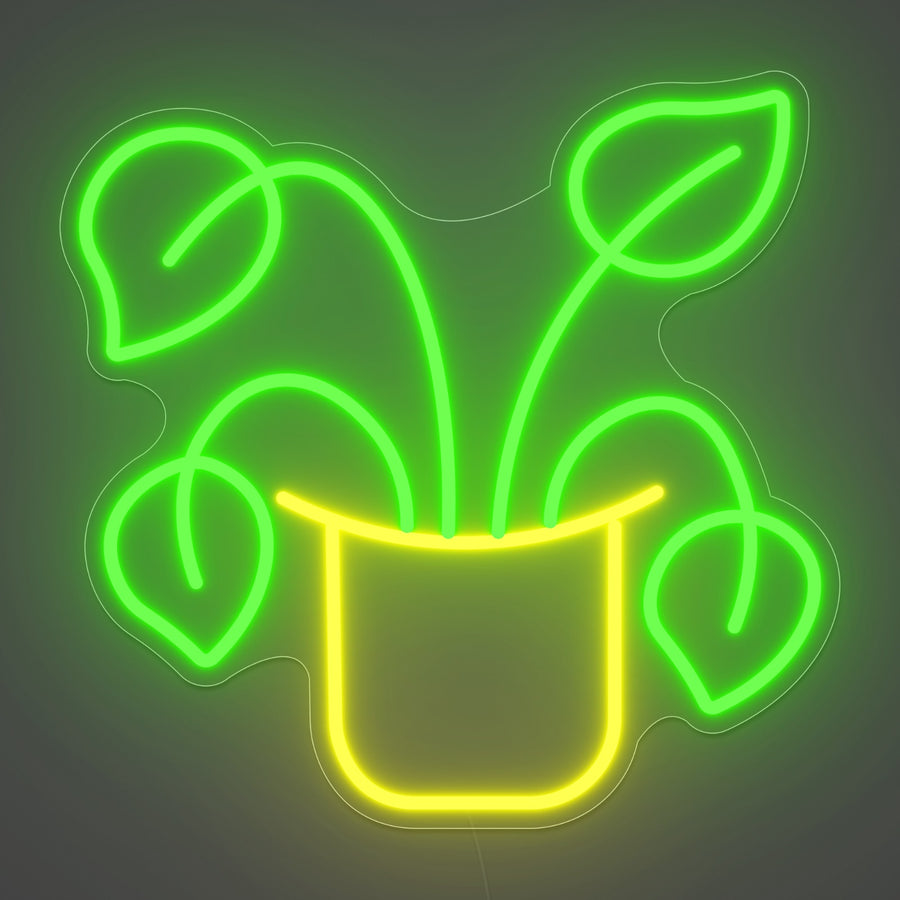 PLANTE