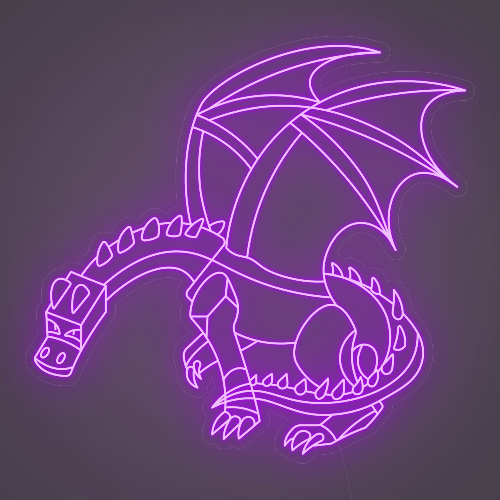 ENDER DRAGON
