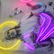 Custom Neon Sign