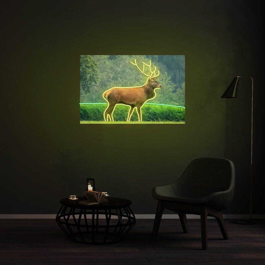 Personnalisation Enseigne LED Néon - pour Inès