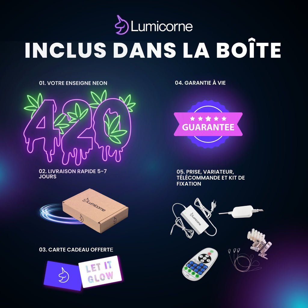 Néon LED Personnalisée 420