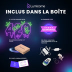 Néon LED Personnalisée 420