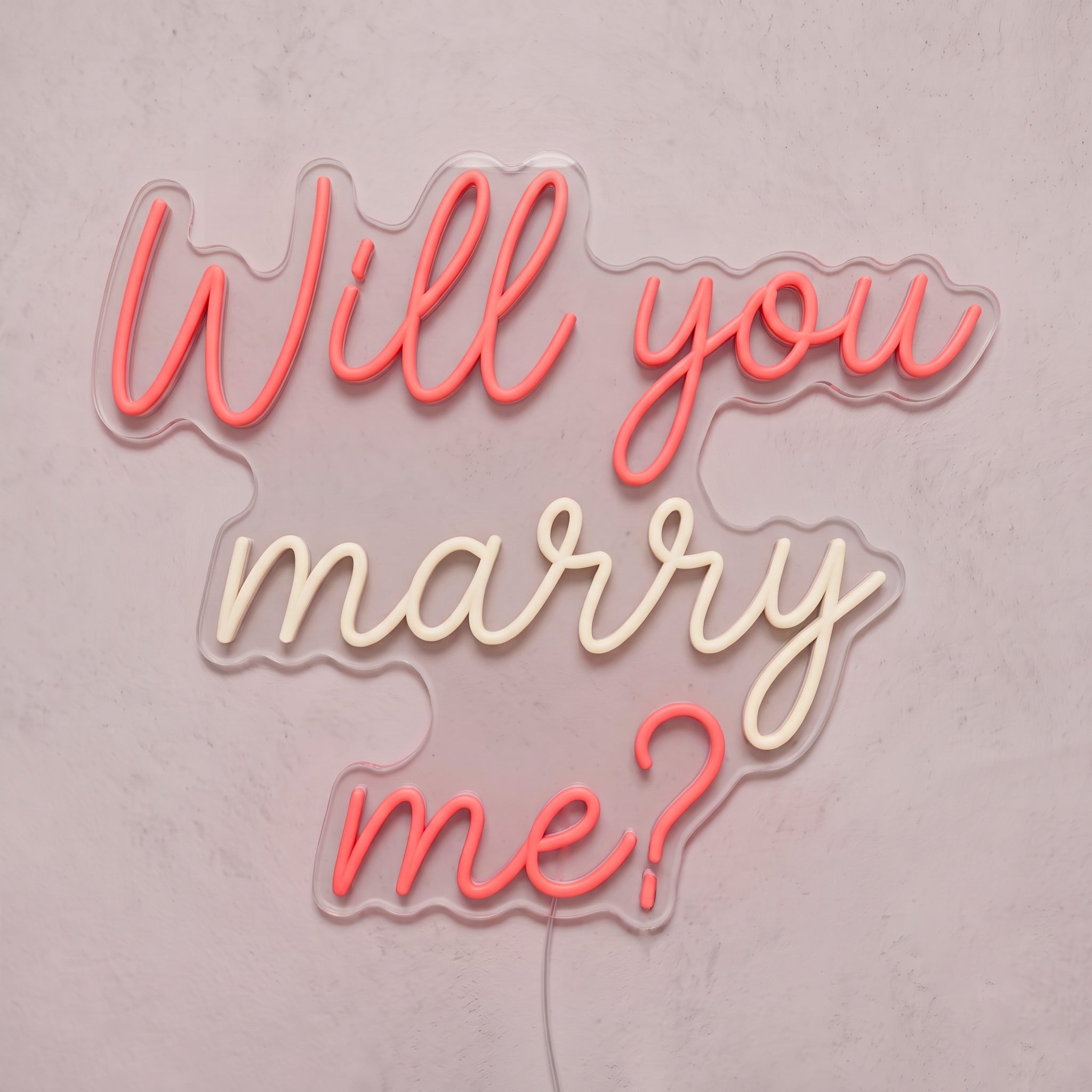 WILL YOU MARRY ME ?