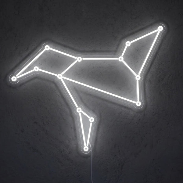 CONSTELLATION
