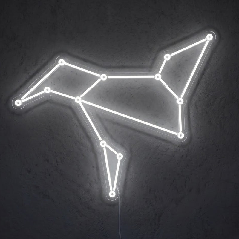 Constellation