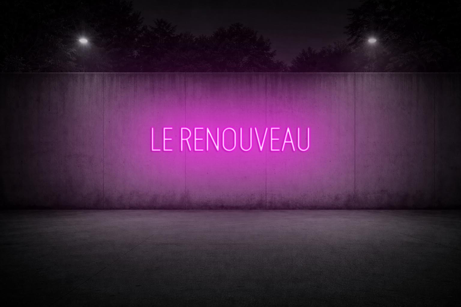 Personnalisation Enseigne LED Néon -LE RENOUVEAU