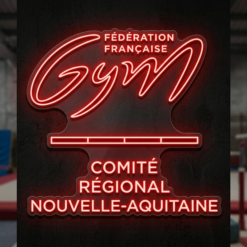 Gymnastics committee
