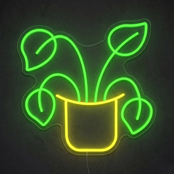 PLANT