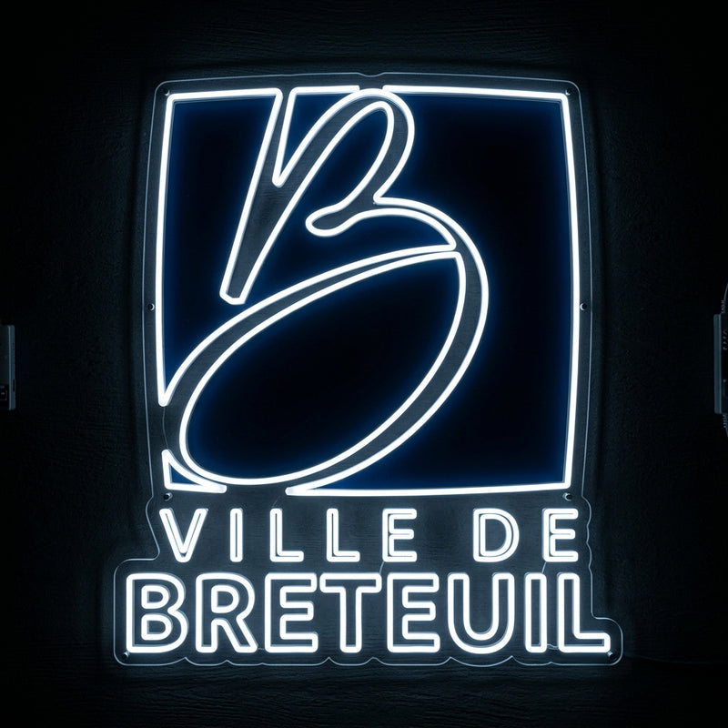 Stade frédéric maitre