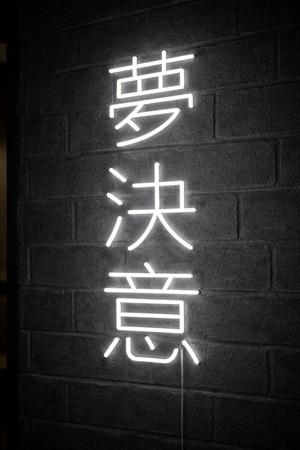 Custom LED Neon Sign with Japanese Letters