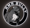 RMR BULLY