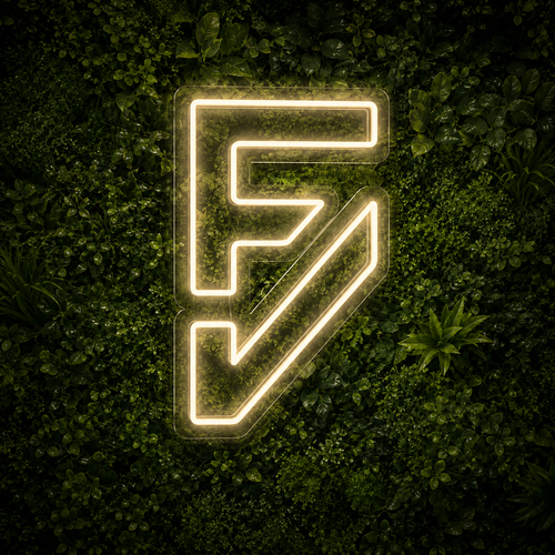 FV - Enseigne néon LED personnalisé