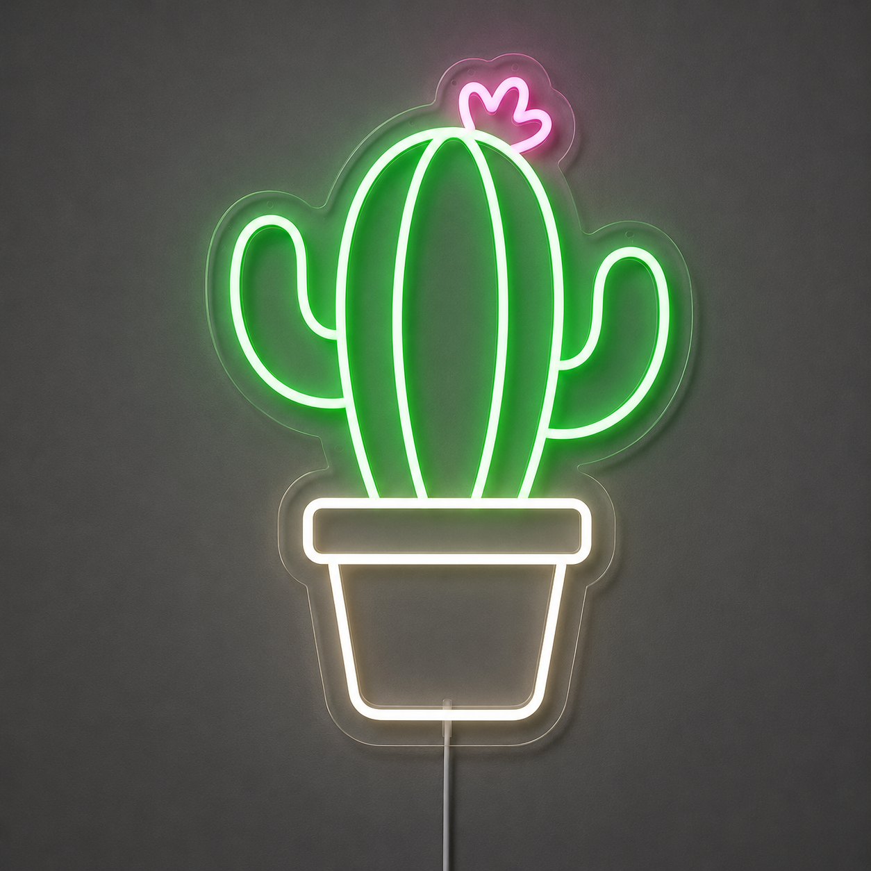 CACTUS