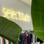 SELECT STUDIO
