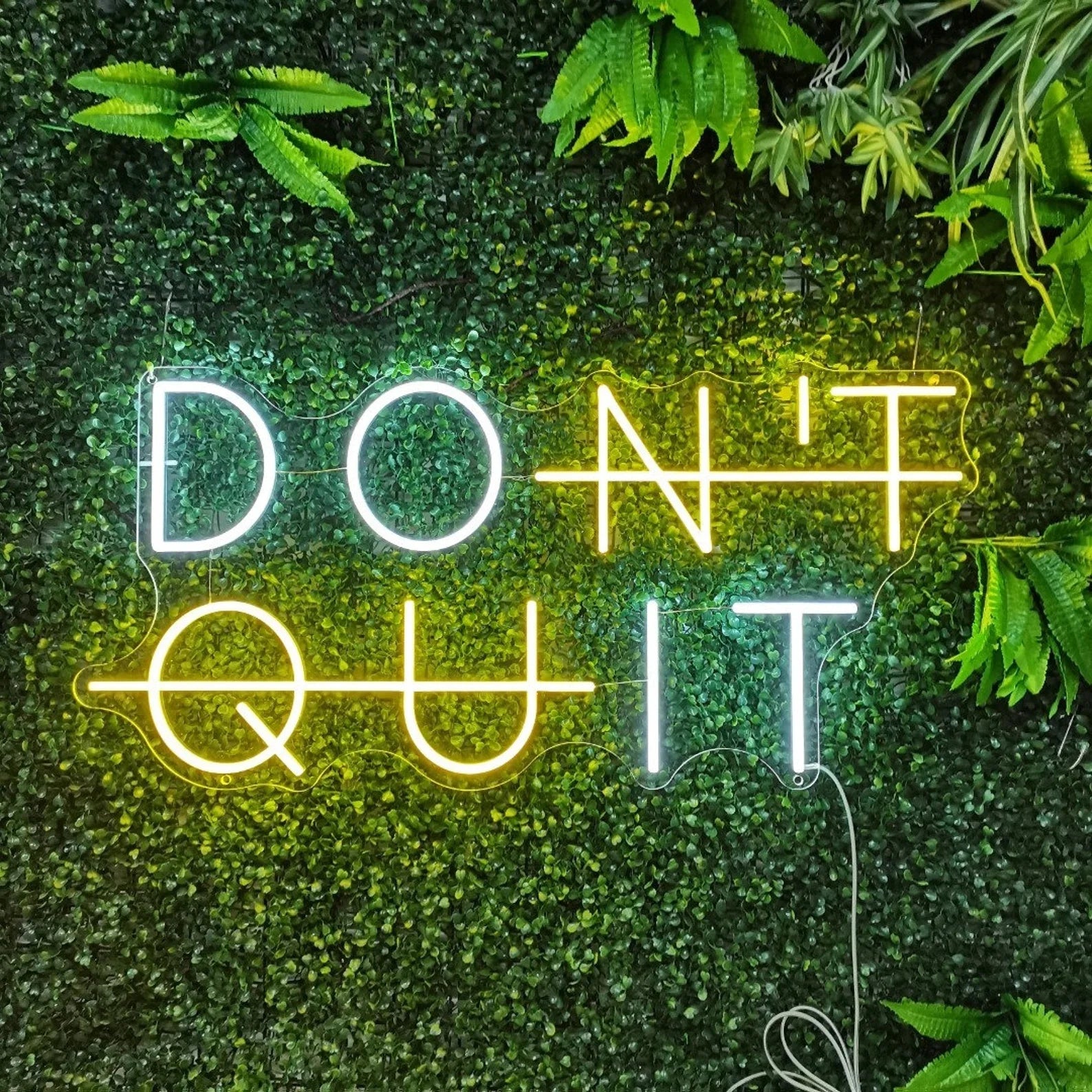 DON'T QUIT - Lumicorne