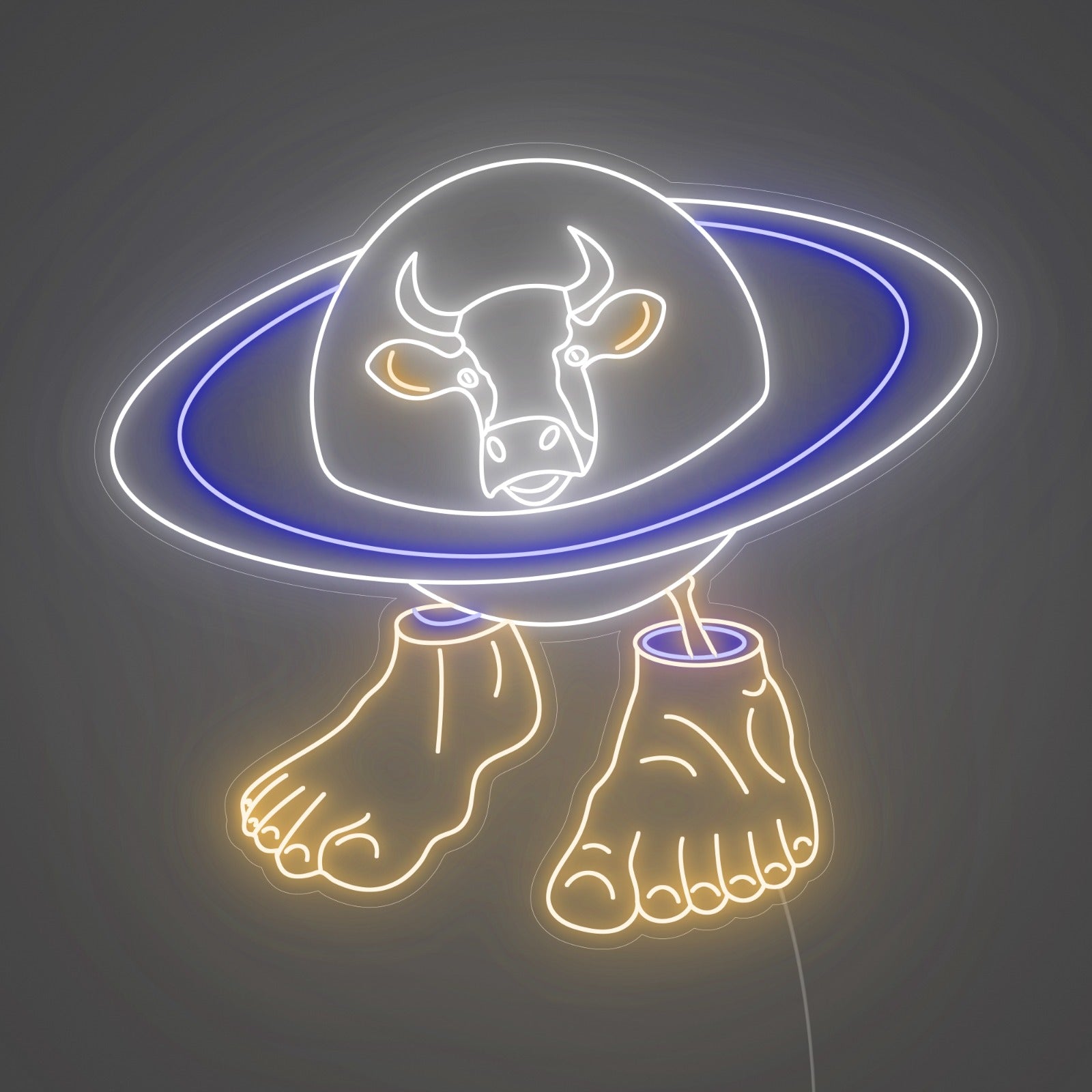 VACHA SATURNITA