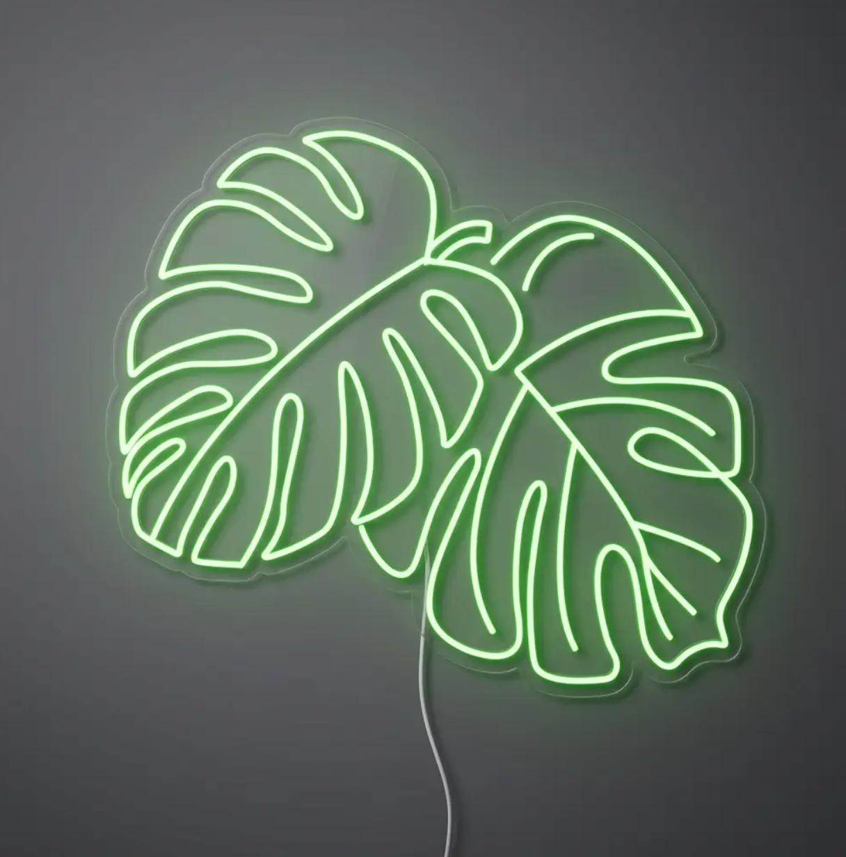MONSTERA