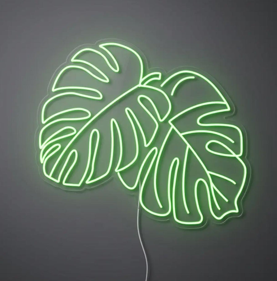 MONSTERA
