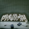  Custom Neon Sign