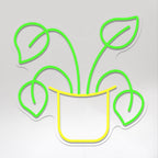 PLANTE