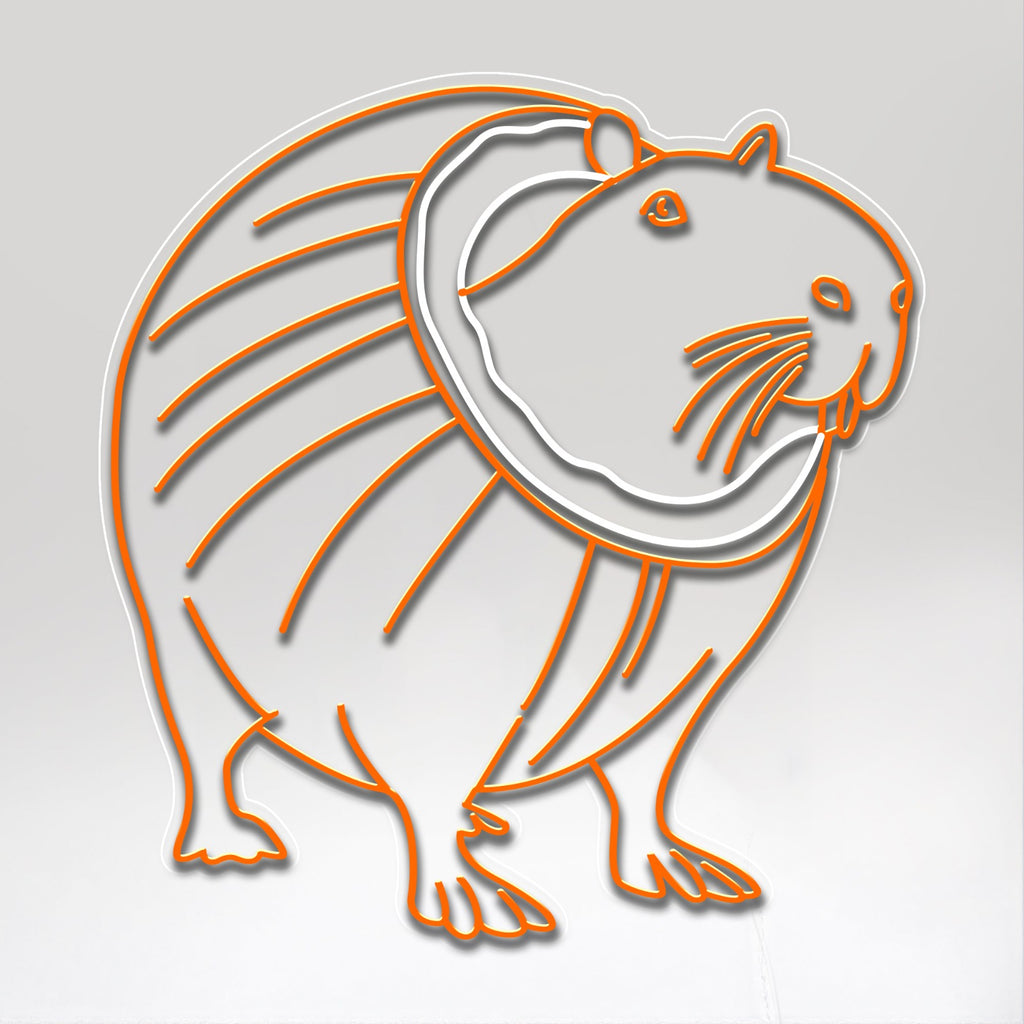 COCOCOSSINI BOBRINNI