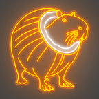 COCOCOSSINI BOBRINNI