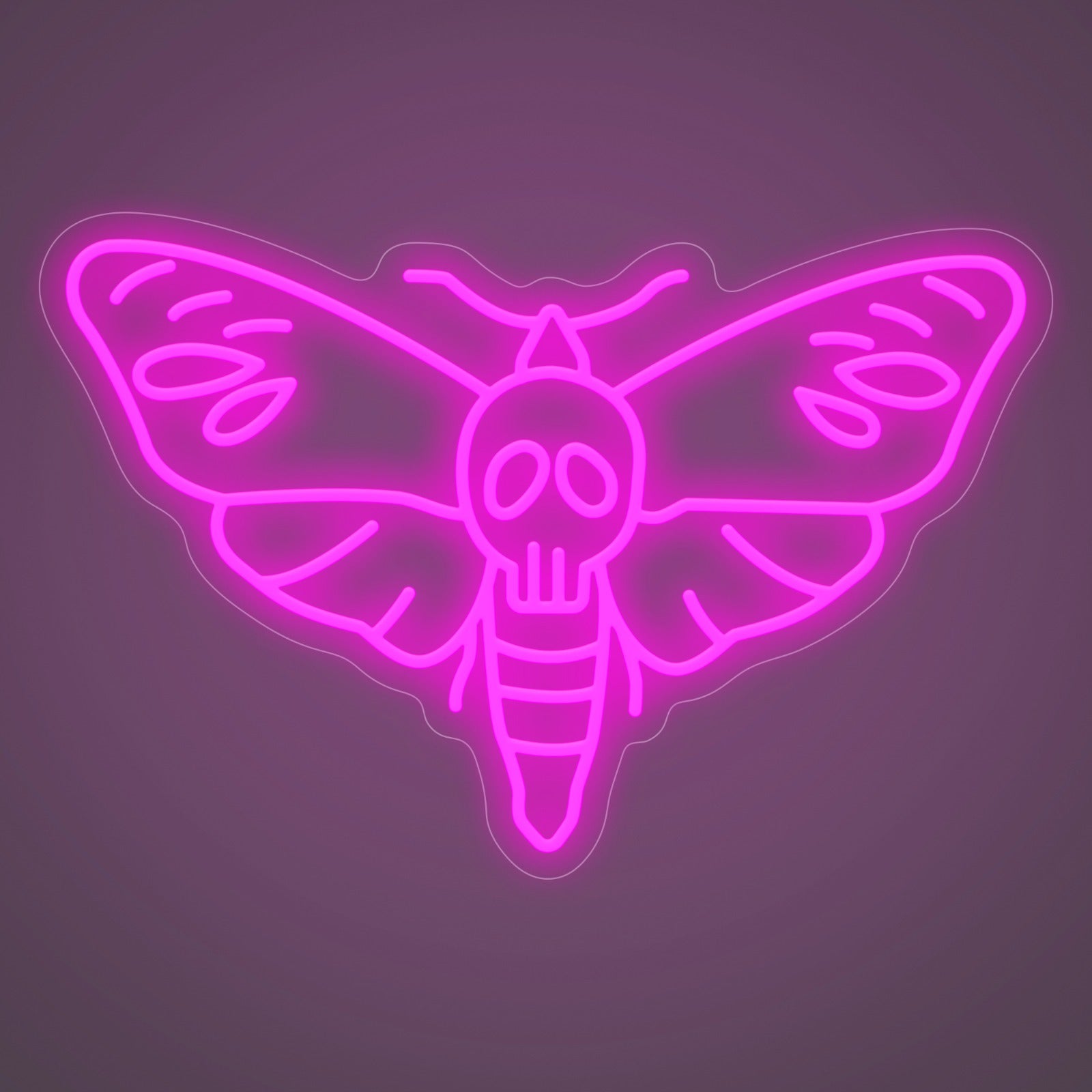 DEATH MOTH