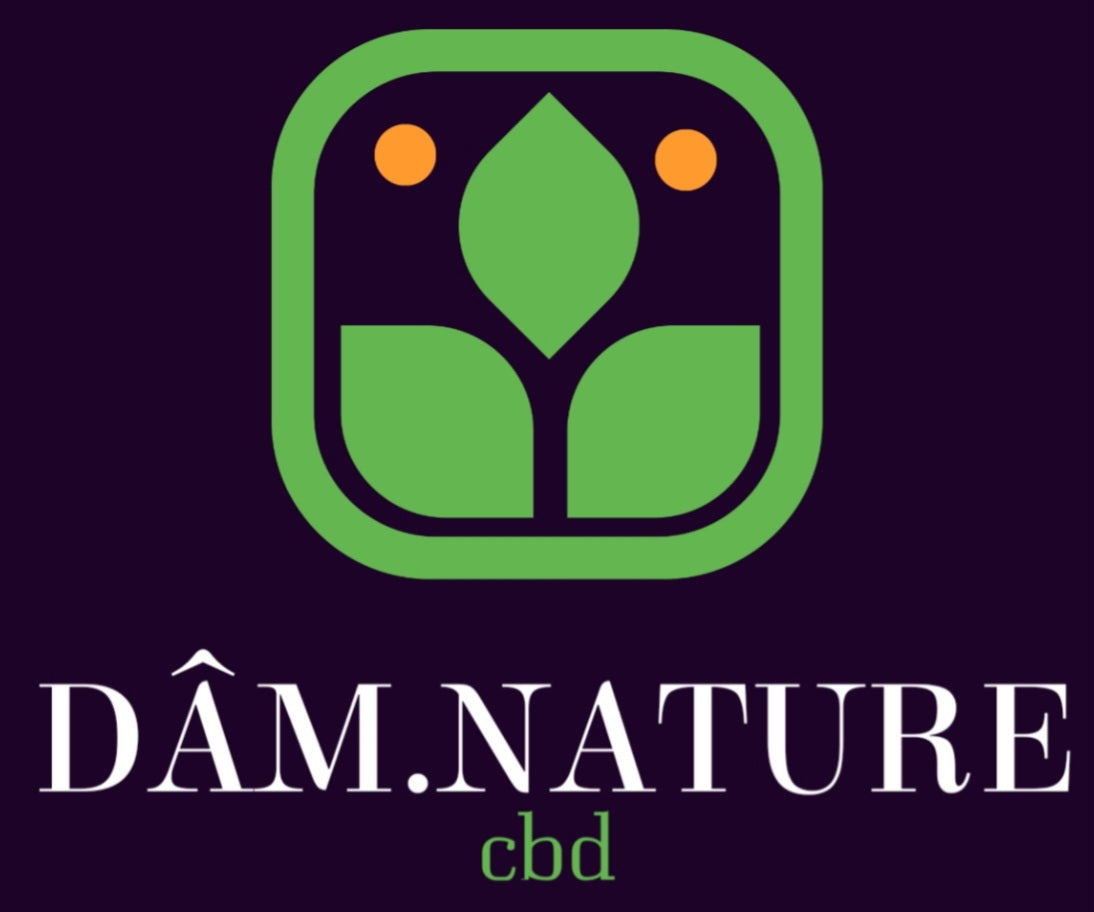 Enseigne néon LED sur-mesure · DÂM. NATURE CBD