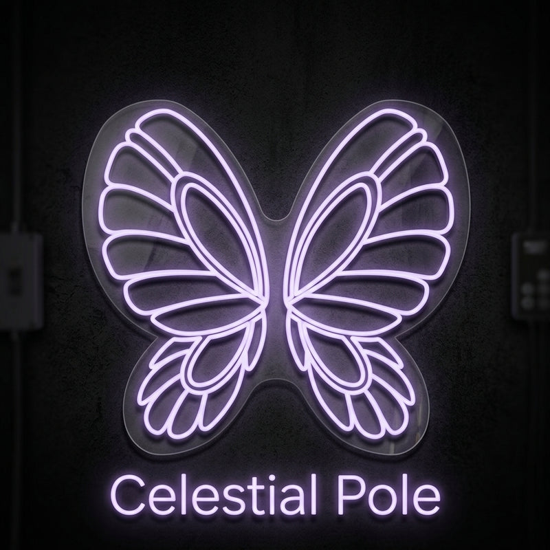 Celestial pole