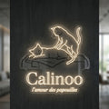 Calinoo - Enseigne néon LED personnalisé