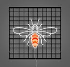 Néon Custom  Bee