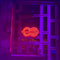 Custom Neon Sign