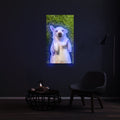 Néon Dog