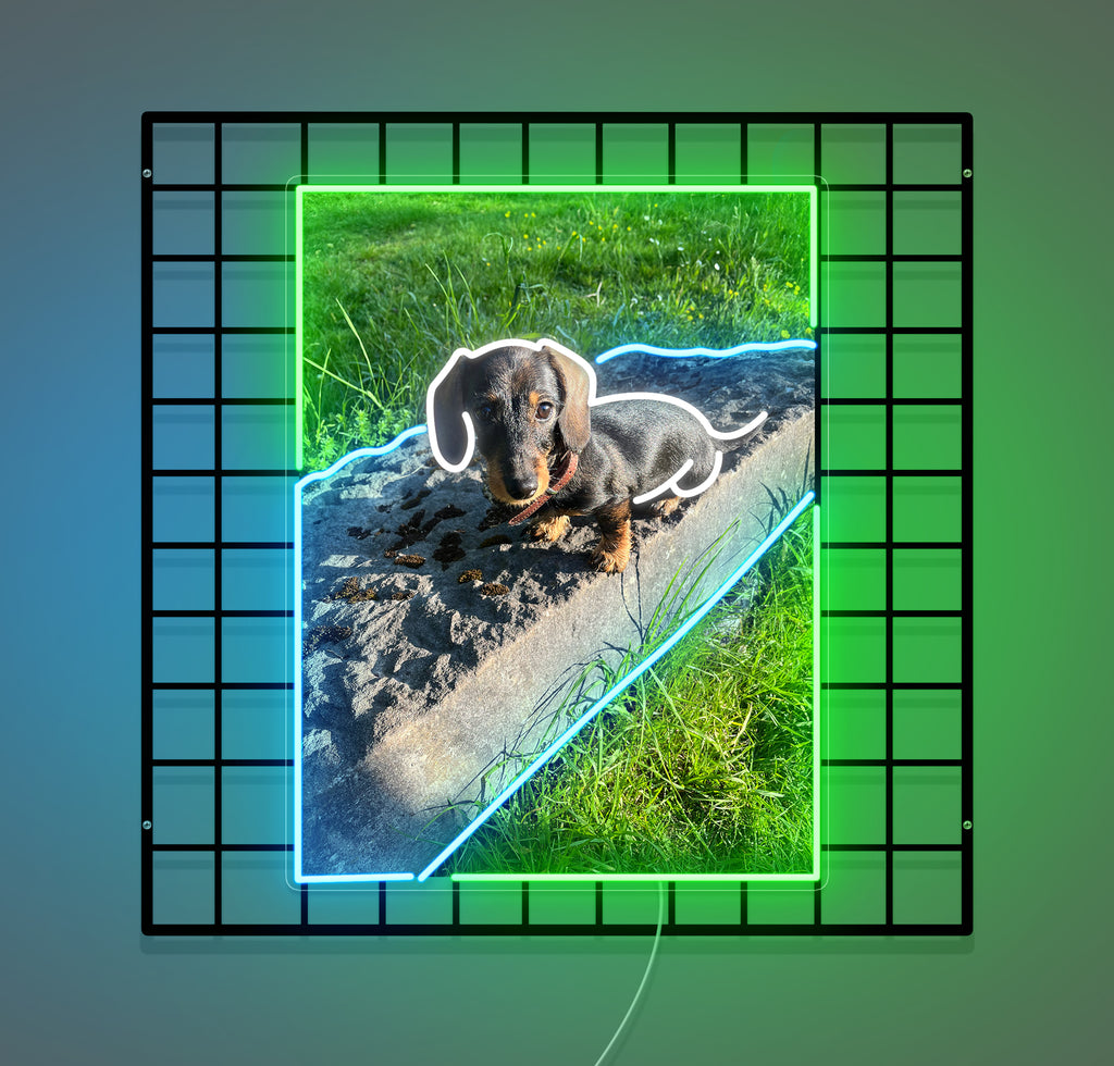Néon Custom  Dog