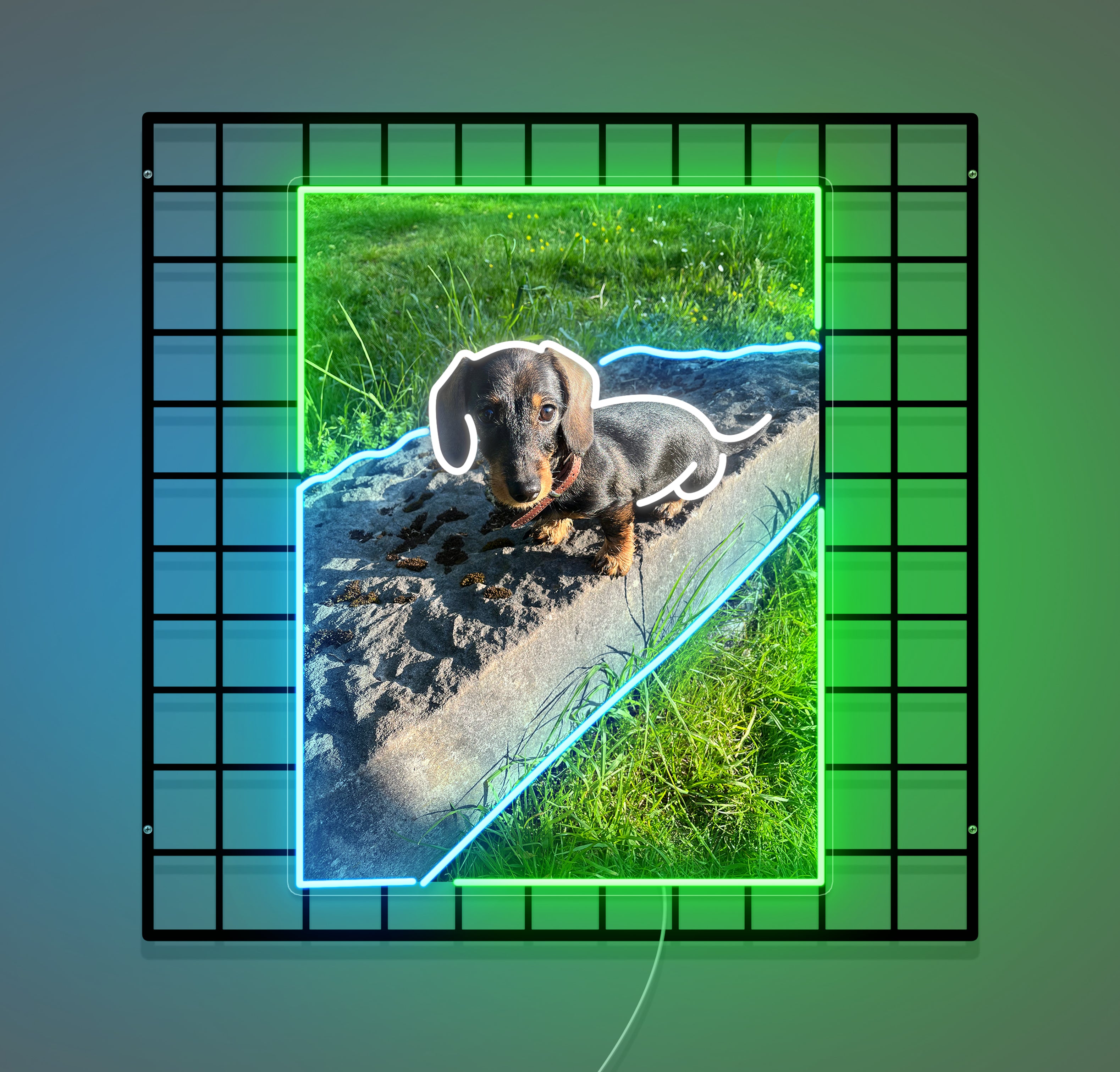 Néon Custom  Dog
