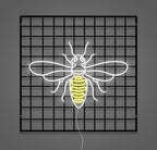 Néon Custom  Bee