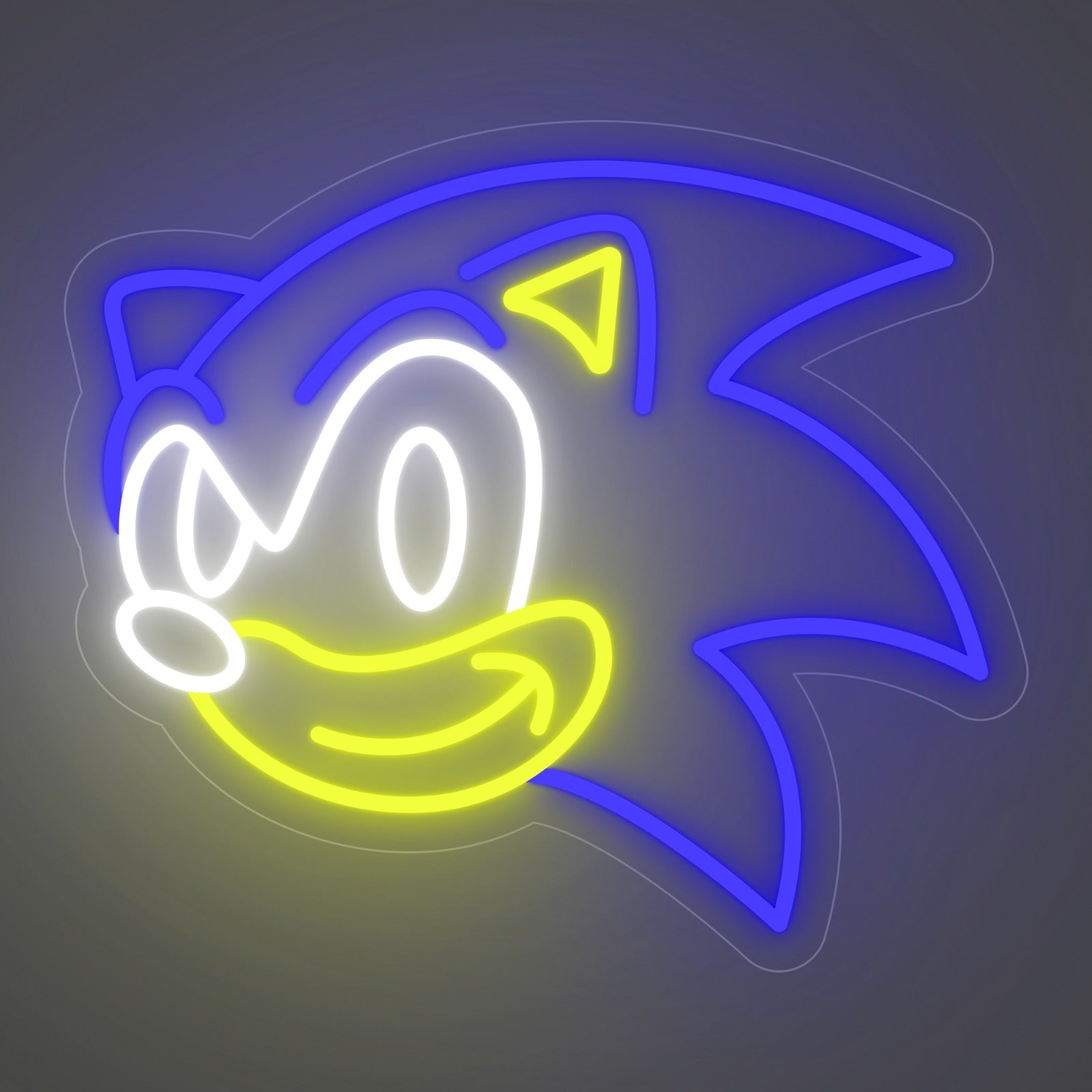 SONlC