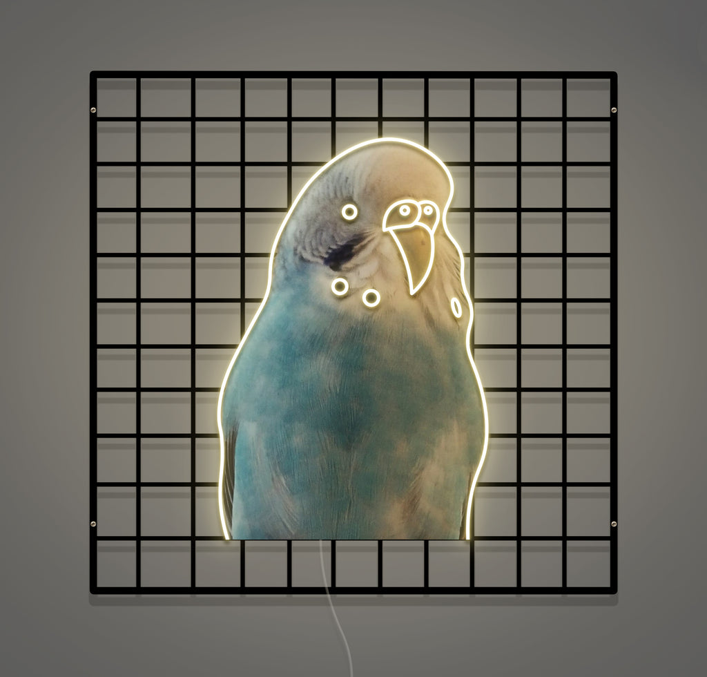 Néon Custom Bird